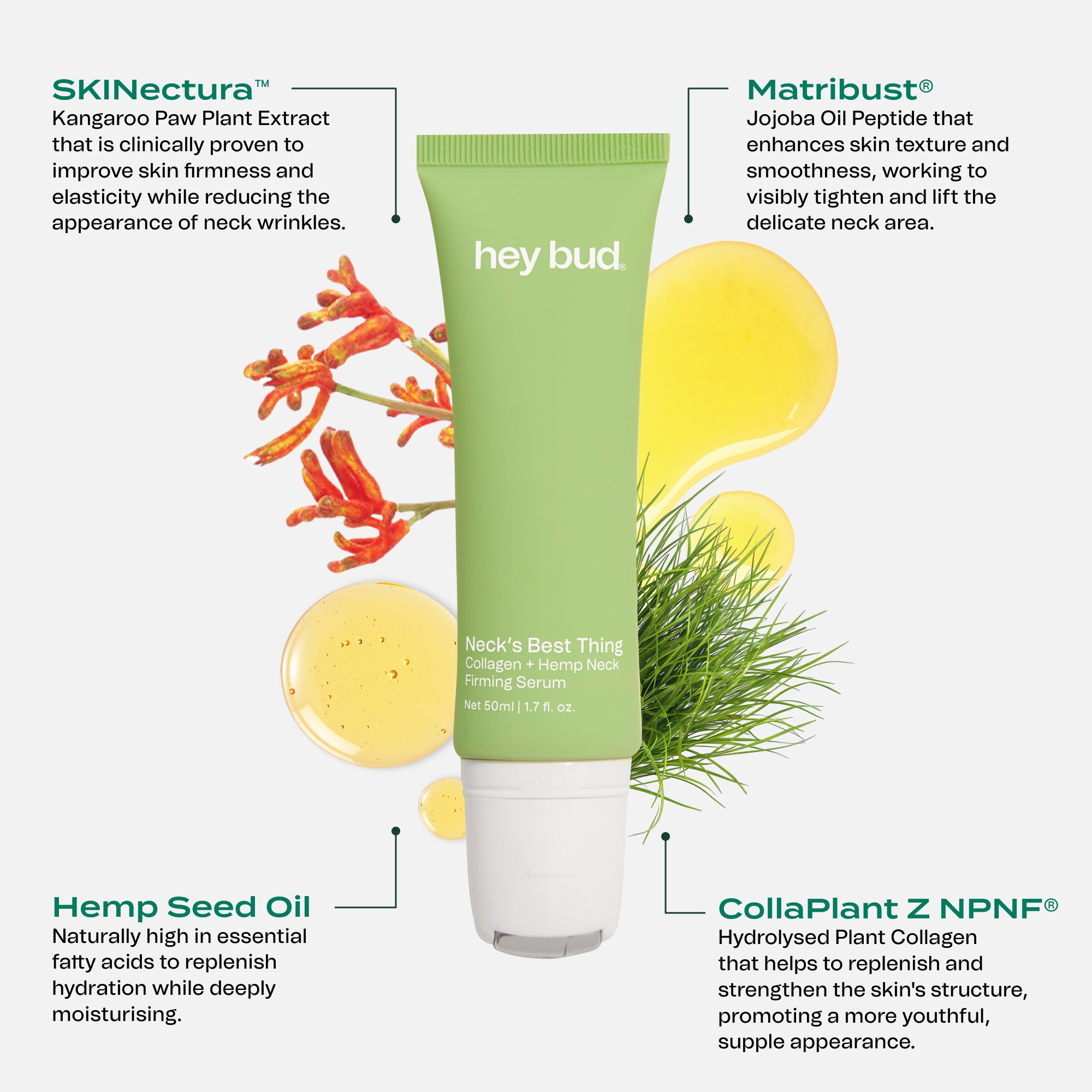 Hey Bud neck serum key ingredients